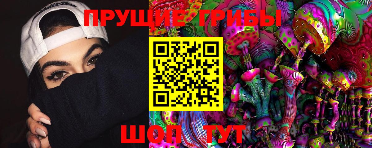 Карпинск  Псилоцибиновые грибы прущие грибы  Вход с VPN  Псилоцибиновые грибы мицелий 